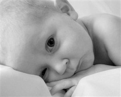 Cale Alexander Farris Cale Alexander Farris