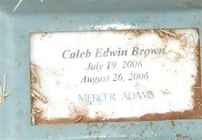 Caleb Edwin Brown