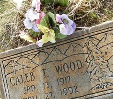 Caleb T. Wood