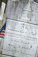 Caleb Wildey