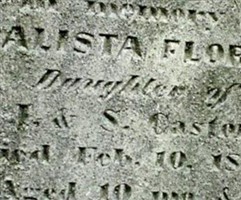 Calista Florida Castor Calista Florida Castor