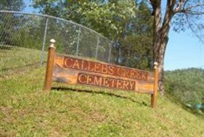 Callebs Creek Cemetery (2400684.jpg)