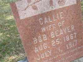 Callie Beaver Callie Beaver
