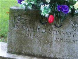 Callie D. Stinnett Callie D. Stinnett