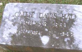 Callie Davis Hall