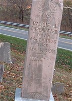 Callie J Copenhaver Callie J Copenhaver