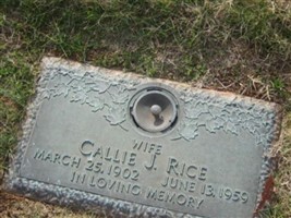 Callie J. Rice Callie J. Rice