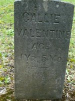 Callie Valentine