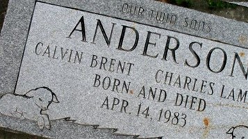 Calvin Brent Anderson