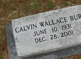 Calvin Wallace Burt