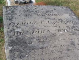 Camilla C Wilson