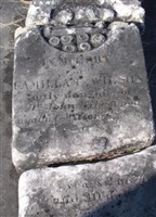 Camilla C Wilson