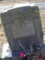 Cammie Perdue Shanks Cammie Perdue Shanks