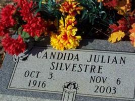 Candida Julian Silvestre