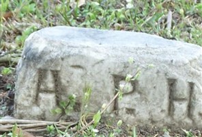 Capt Albert Parks Hurt Capt Albert Parks Hurt