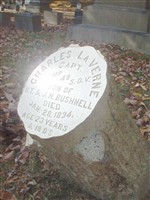 Capt Charles LaVerne Bushnell