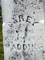 Carey Madding Carey Madding