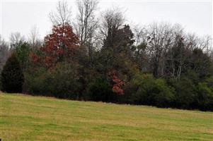 Carithers Cemetery