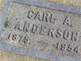 Carl A Anderson