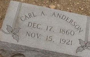 Carl A Anderson