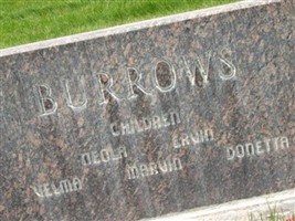 Carl B Burrows