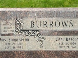 Carl B Burrows