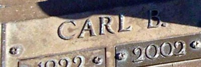 Carl B Gunter