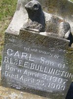 Carl Bullington Carl Bullington