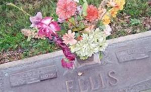 Carl C. Ellis (2016166.jpg) Carl C. Ellis (2016166.jpg)