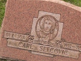 Carl Cyril Sefcovic