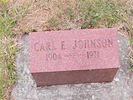 Carl E Johnson