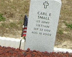 Carl E Small