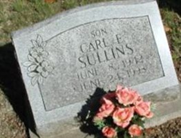 Carl E Sullins