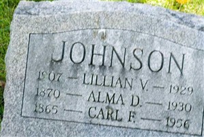 Carl F Johnson