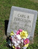 Carl Ferguson