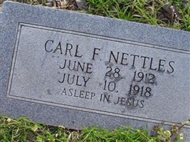 Carl Franklin Nettles