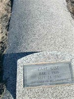 Carl Gist