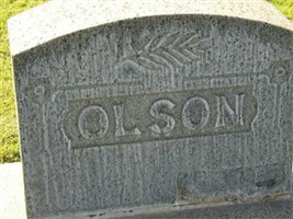 Carl Herbert Olson Carl Herbert Olson