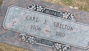 Carl J. Shelton