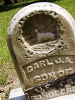Carl JA Sandegren Carl JA Sandegren