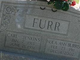 Carl Jenkins Furr