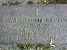 Carl Joseph Nelson