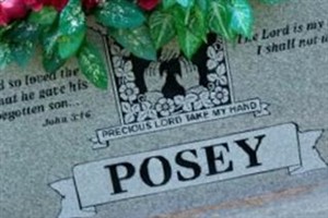 Carl Junior Posey