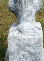 Carl K. Rice Carl K. Rice
