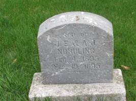 Carl M. Nordling Carl M. Nordling