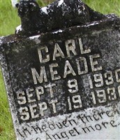 Carl Meade