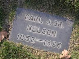 Carl Nelson