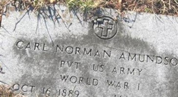 Carl Norman Amundson Carl Norman Amundson