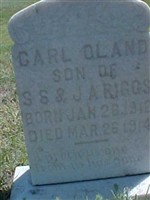Carl Orland Riggs