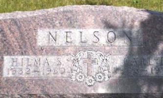 Carl Peter Nelson